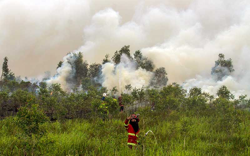 Kebakaran Lahan Di Kalimantan Selatan Mendekati Permukiman Warga