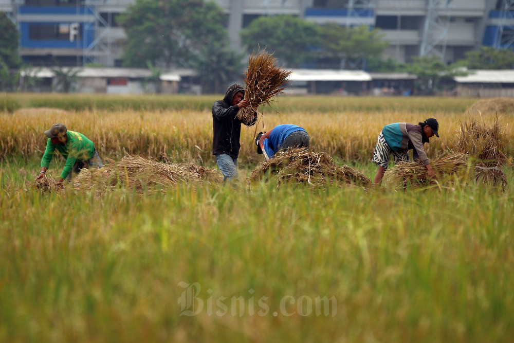 Nilai Tukar Petani Pada April Turun Persen