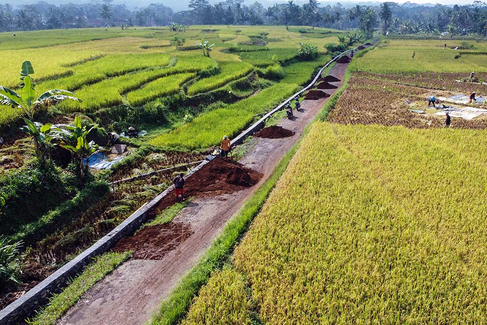 Ketahanan Pangan Indonesia Terancam El Nino Dan Perubahan Iklim