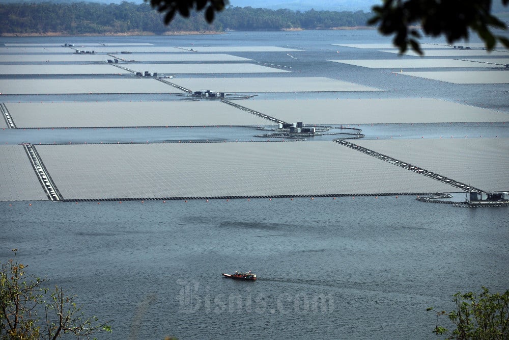 Plts Terapung Cirata Di Waduk Cirata Menjadi Yang Terbesar Se Asia Tenggara