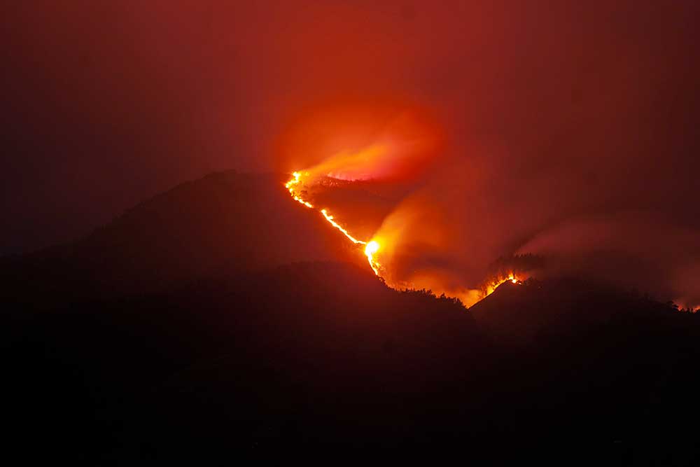 Hutan Di Gunung Merbabu Terbakar Jalur Pendakian Ditutup Sementara