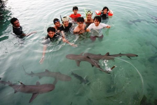 Ratusan Wisatawan Terjebak Di Pulau Karimun Jawa Akibat Gelombang Tinggi