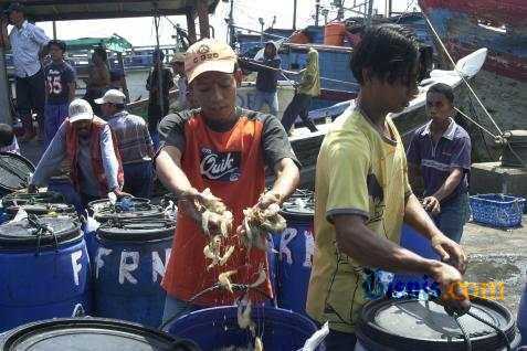 PERIKANAN BUDIDAYA: Keramba Jaring Apung Offshore Terancam Gagal