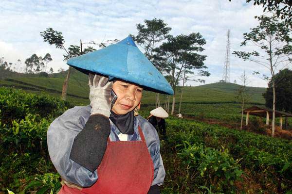 SELEKSI PENGGUNA FREKUENSI : 4 Operator Siap Ikut Lelang