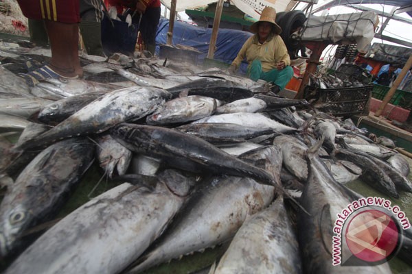 PEMASARAN PERIKANAN : Pasar Ikan Palembang Segera Terwujud