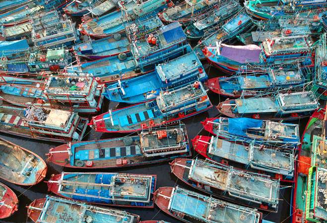 KOMODITAS HASIL LAUT : Nelayan Pantura Diuntungkan
