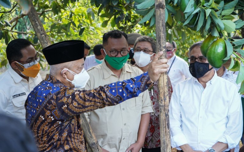 EDITORIAL : Menanti Efektivitas Relaksasi
