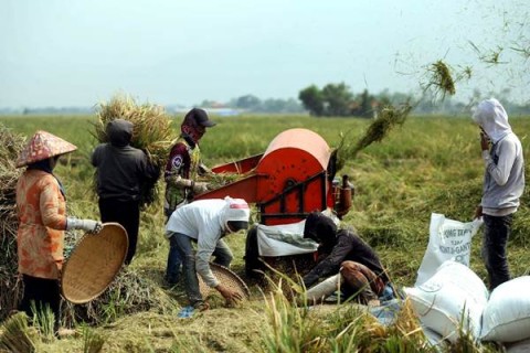 BRI dan Pemprov Jateng Perkuat Sistem Informasi Pertanian