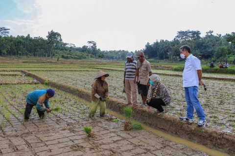 Penempatan Dana dari Pemerintah Bikin BRI Makin Fokus Selamatkan UMKM