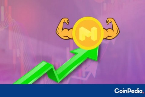Polygon (MATIC), Aset Kripto yang Melesat Saat Bitcoin Cs Terpuruk