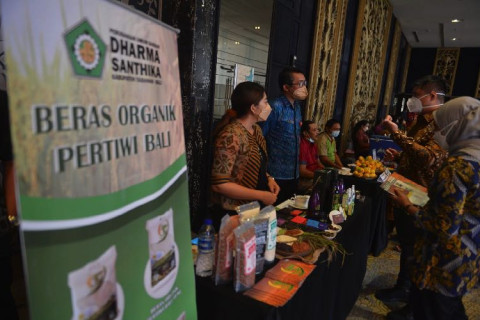 Kemendes Beri Dukungan Teknis Kepada UMKM di Buleleng, Klungkung dan Tabanan