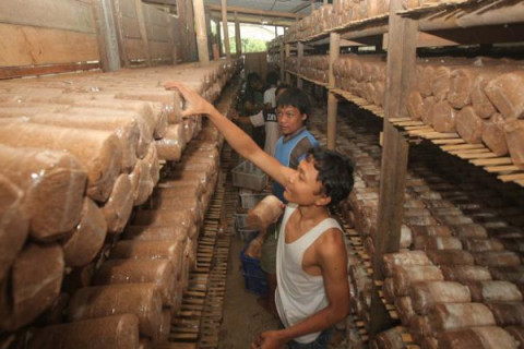 Sesuai Prediksi! Total Utang Industri Leasing Cuma Terkoreksi 1,5 Persen