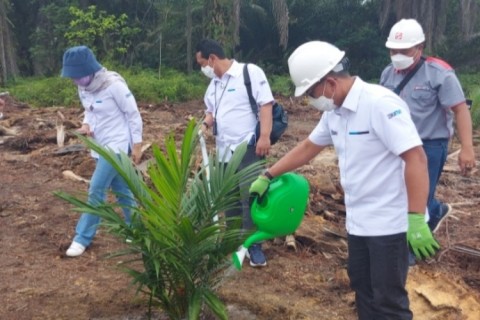 Airlangga: KUR Peremajaan Sawit Bantu Petani Kecil, Tak Perlu Bayar Angsuran 5 Tahun