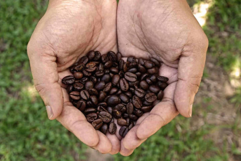 Manfaat Ampas Kopi, Bisa Diolah Menjadi Produk UMKM