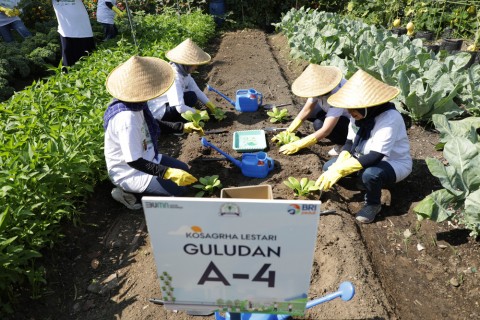 Kembangkan Urban Farming, BRI Peduli Inspirasi Bertani di Kota (BRInita)
