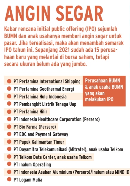 Anak Usaha BUMN Tercatat Masuk Pipeline IPO BEI, Cari Dana Jumbo?