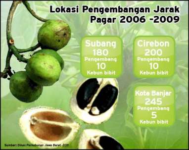 Lokasi Pengembangan Jarak Pagar 2006 -2009