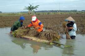 Kerugian Akibat Banjir di Subang Capai Rp54 Miliar