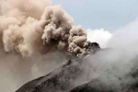 Bantu Petani Gunung Sinabung, Pemerintah Siapkan Bibit Tanaman