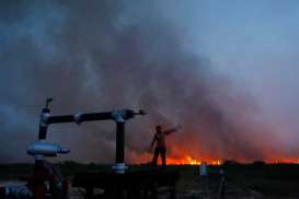 Ini 9 Provinsi Yang Rawan Kebakaran Hutan