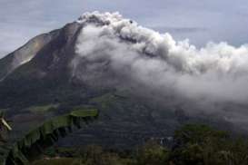 Gunung Kelud Meletus: Sayuran di Kawasan Merapi Tertutup Abu Vulkanik