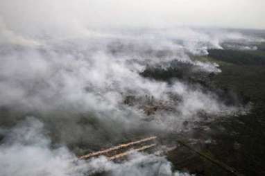 Kebakaran Hutan Riau: Kerugian Capai Rp10 Triliun