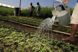 Pelaku Usaha Bawa UU Hortikultura ke MK