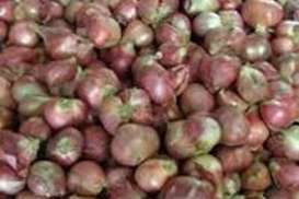 Stok Bawang Merah Bulan Ini Defisit 6.900 Ton