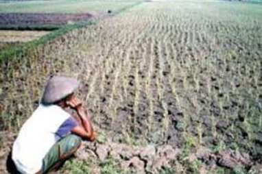 Sawah Mudah Lenyap, BPN Tunjuk Biang Keladinya