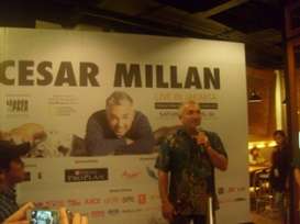 Dog Whisperer: Cesar Millan Kunjungi Jakarta, Beri Pelatihan Pahami Anjing