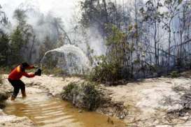 Musim Kemarau, Riau Diminta Siaga Kebakaran Hutan