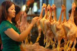 HARGA DAGING AYAM: Kini Rp28.817 Per Kilogram