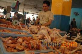 DAGING UNGGAS: Jelang Puasa, Kebutuhan Naik Hingga 25%