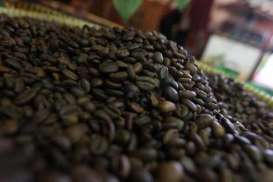 HARGA KOPI: Robusta Bergerak Turun 0,05%