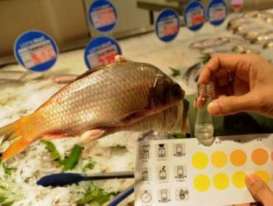 Ikan Berformalin Beredar di 4 Pasar Jakarta Berikut