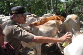 INDO LIVESTOCK 2014: Ada Temu Bisnis dan Seminar, Ini Rinciannya