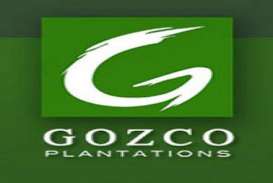 BUYBACK SAHAM, Gozco Plantations (GZCO) Anggarkan Rp60 Miliar