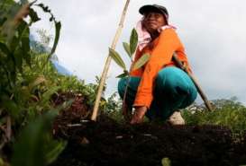 EFEK RUMAH KACA: Indonesia Dinilai Bantu Turunkan Emisi