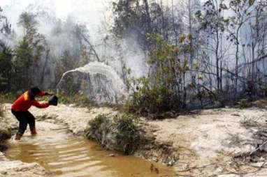 RAPP dan BPBD Riau Kerjasama Pencegahan Kebakaran Hutan