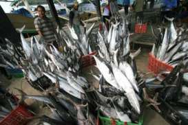 MAKANAN SEHAT: Ini Ciri Daging dan Ikan Bebas Formalin