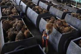 HARGA CPO (14/7/2014): Ditutup Anjlok 1,45%