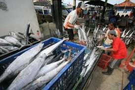 PASOKAN IKAN: Stok Cukup, Harga Terkendali