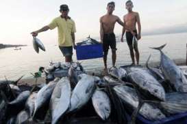 PEMBATASAN SOLAR SUBSIDI: Kadin Nilai Bakal Berdampak pada Nelayan
