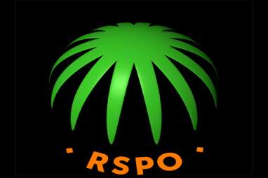 RSPO Dapatkan Status Konsultatif Khusus dari PBB