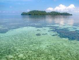 WISATA BAWAH LAUT: Festival Teluk Tomini Diandalkan Dongkrak Potensi