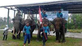 Taman Nasional Tesso Nilo Gelar Patroli Gabungan