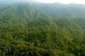 Sekjen Kehutanan Ajak LSM Kawal Tata Kelola Hutan