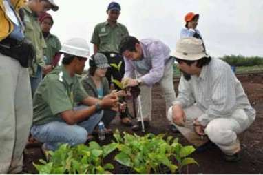 Lembaga Asal Kanada Siapkan Audit Pengelolaan Hutan di Riau