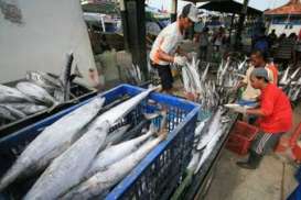 Harga Ikan Tongkol di Balikpapan Berfluktuasi