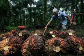 HARGA CPO 2 Oktober: Awal Perdagangan Rebound 0,77%